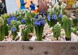 Fruehling In Jenas Goethe Galerie 2024 16